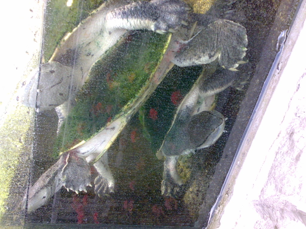 e0132713_8165126.jpg