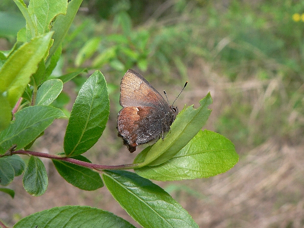 e0002314_160423.jpg