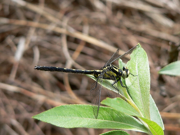 e0002314_162992.jpg