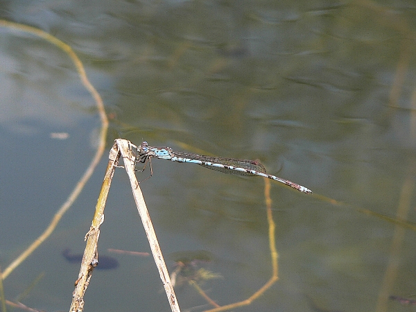 e0002314_1653512.jpg