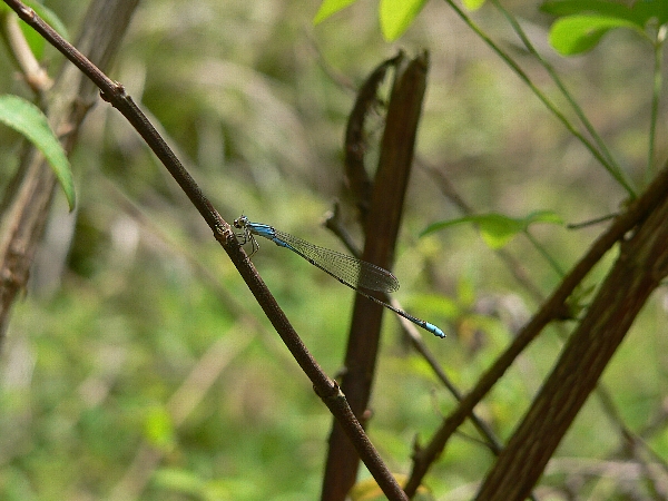 e0002314_1654966.jpg