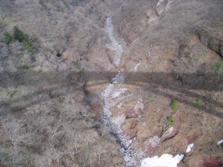 d0140422_21512043.jpg