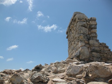 f0151222_1025319.jpg