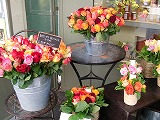 b0138425_1405380.jpg