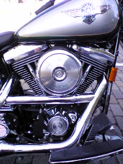 a0099129_1723358.jpg