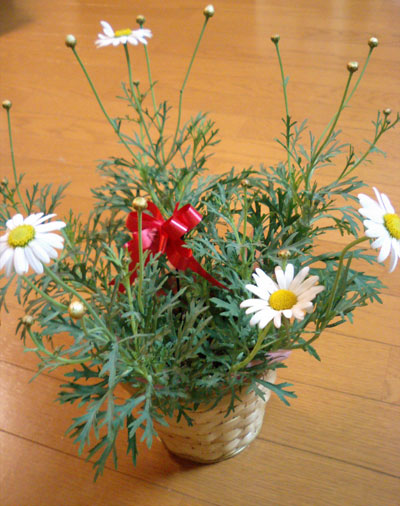 c0022231_0492629.jpg