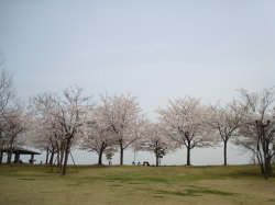 f0054731_18525341.jpg