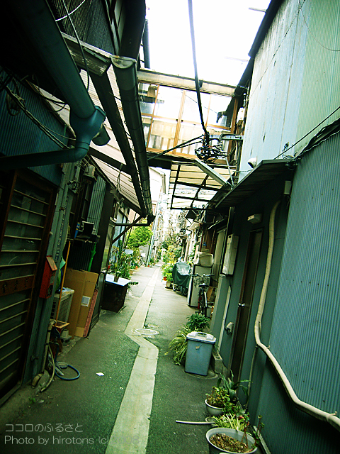 e0016732_0132245.jpg
