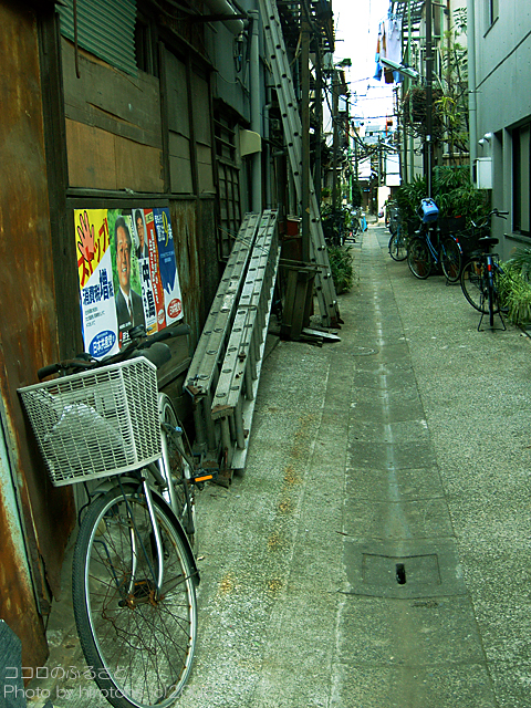 e0016732_0142149.jpg