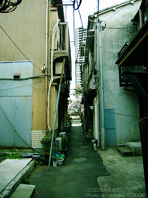 e0016732_1750092.jpg