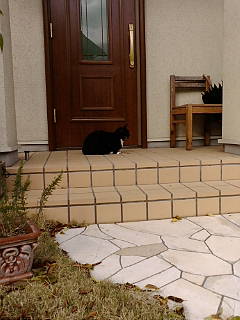 c0136736_19213922.jpg