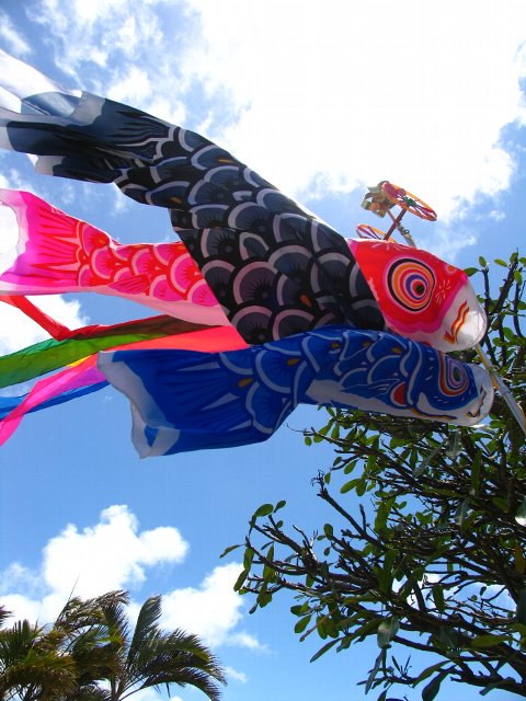 e0022439_844178.jpg