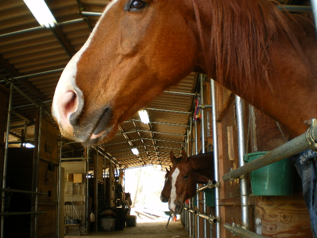 d0110340_109328.jpg