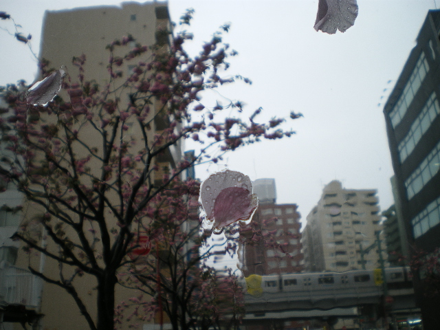 d0110340_952409.jpg