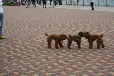 e0018143_2525580.jpg