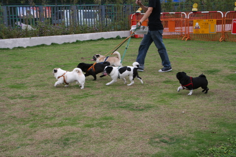 e0018143_317931.jpg