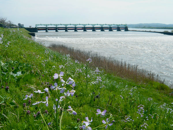 c0131544_2222472.jpg
