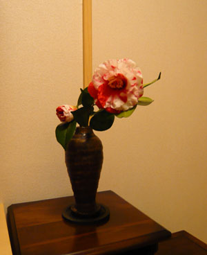 c0131544_5551177.jpg