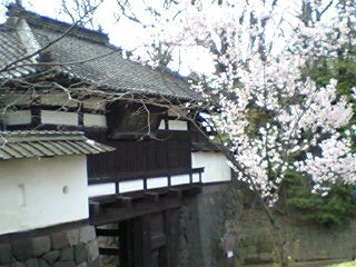 c0011446_21393665.jpg
