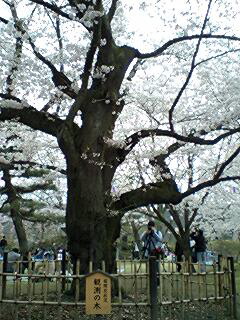 c0011446_21421931.jpg