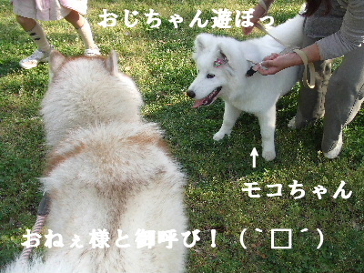 e0121548_20192060.jpg