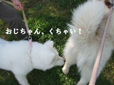 e0121548_20215914.jpg