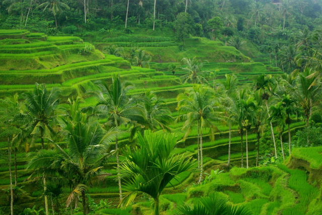 c0011649_0154069.jpg