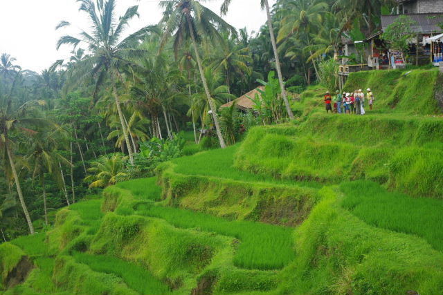 c0011649_0172648.jpg