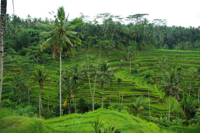 c0011649_0174690.jpg