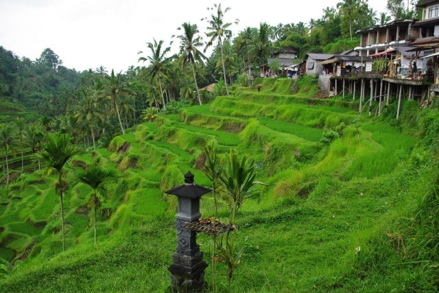 c0011649_0194644.jpg