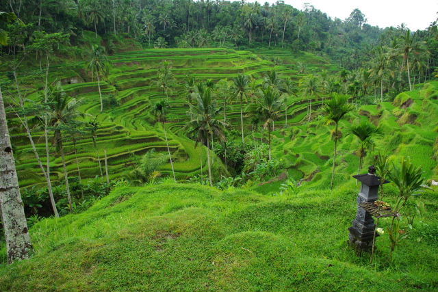c0011649_019986.jpg
