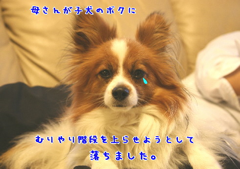 d0013149_15214588.jpg