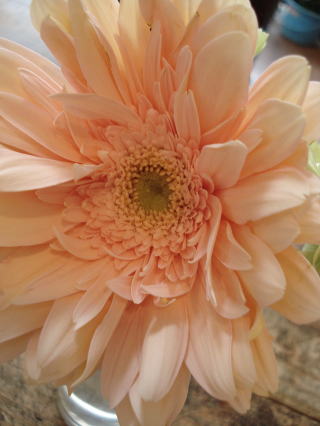 f0041850_17363771.jpg