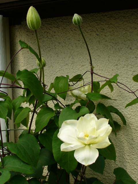 f0074659_20563910.jpg