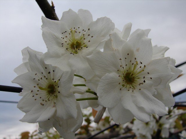 b0061261_2254847.jpg