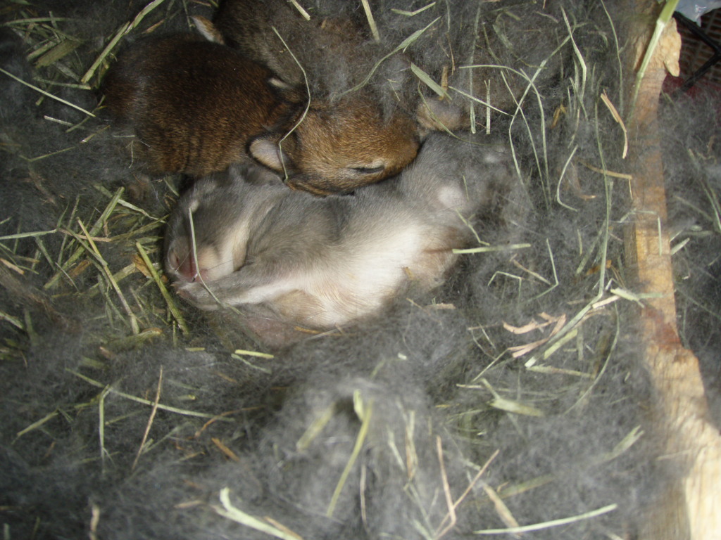 c0002967_22332478.jpg