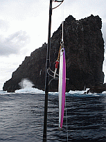 a0096669_8265310.gif