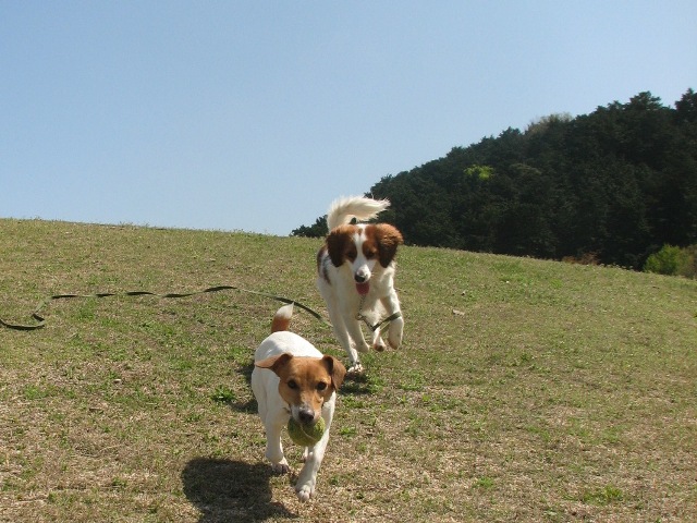 f0120770_2243264.jpg