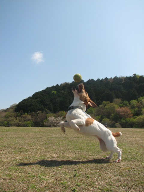 f0120770_22443063.jpg