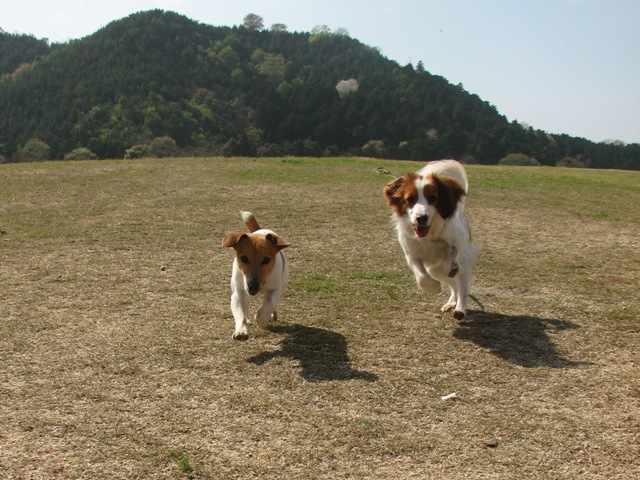 f0120770_224901.jpg