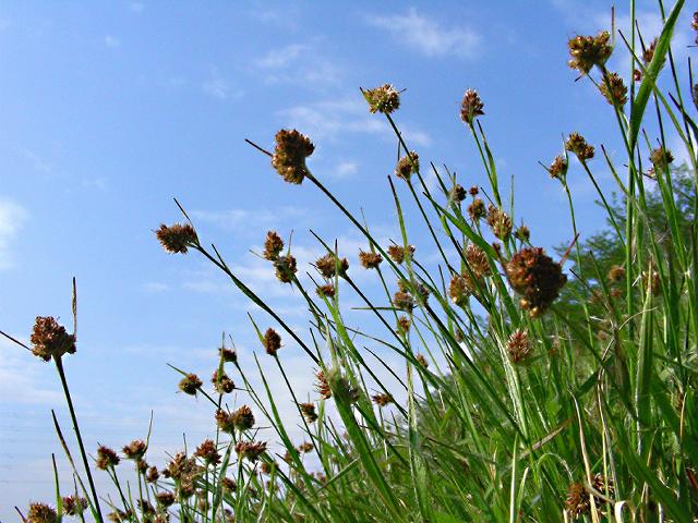 a0044076_2254518.jpg