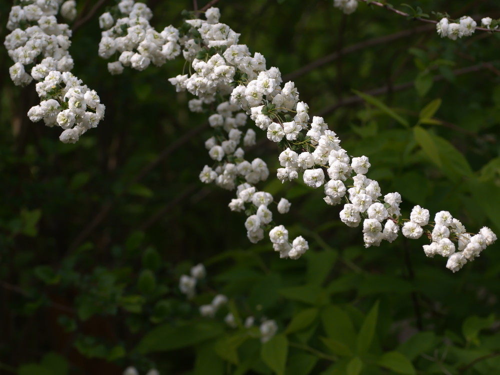 a0083081_1822920.jpg