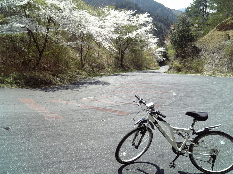 a0060882_2129496.jpg