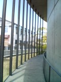 b0055385_1392967.jpg