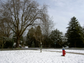 d0129786_21203172.jpg