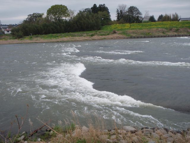 b0139489_1758236.jpg