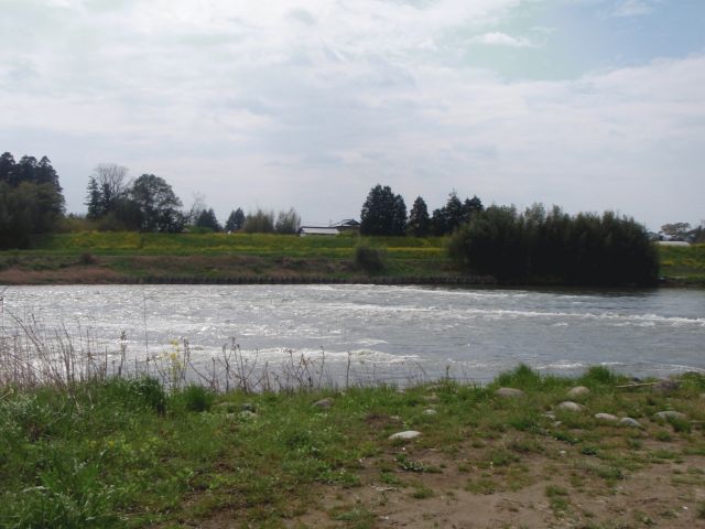 b0139489_1819265.jpg