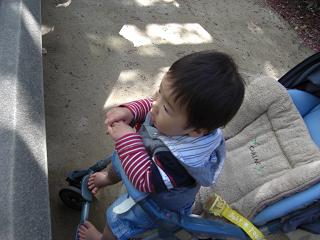 c0114993_082260.jpg