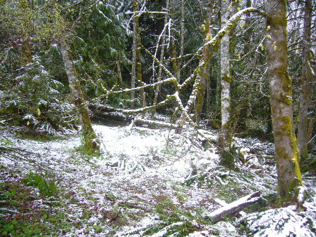 e0122193_864986.jpg