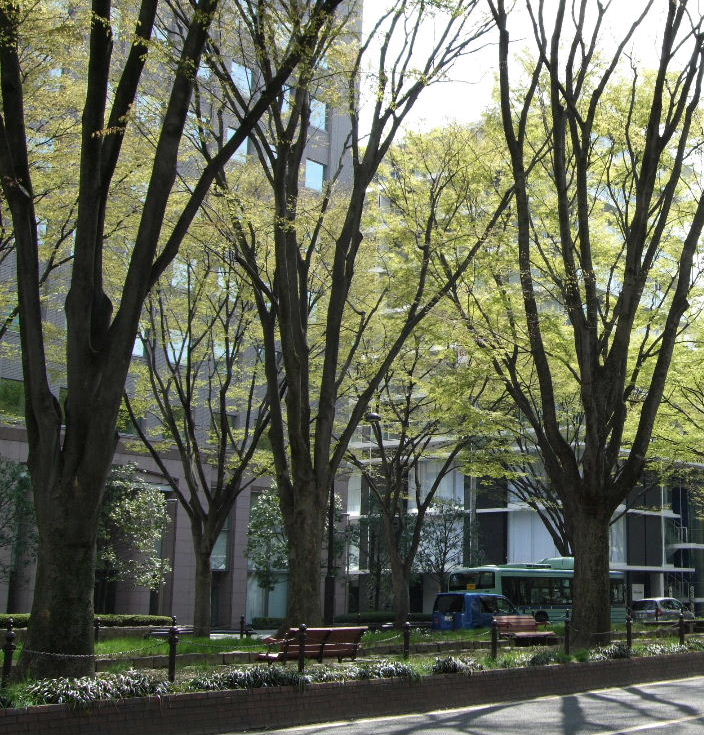 f0100593_1710353.jpg